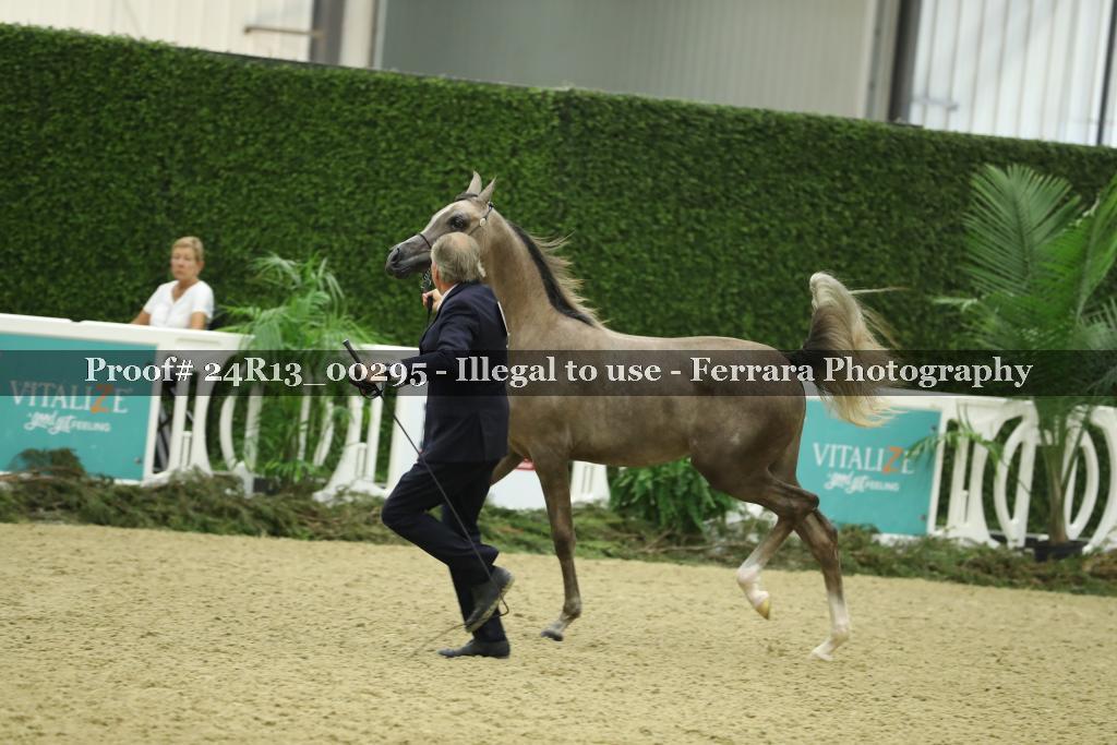 Proof 24R13_00295