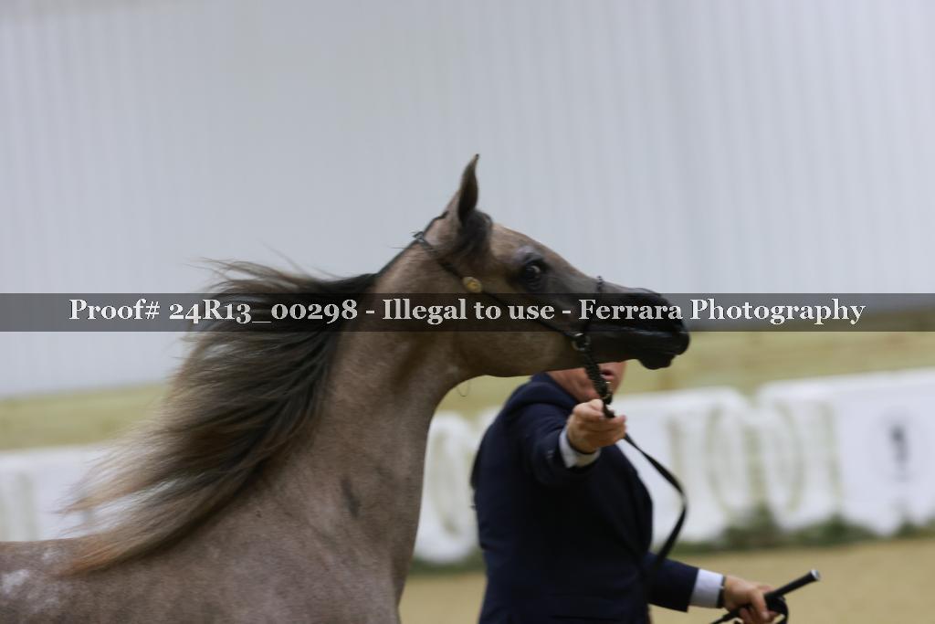 Proof 24R13_00298