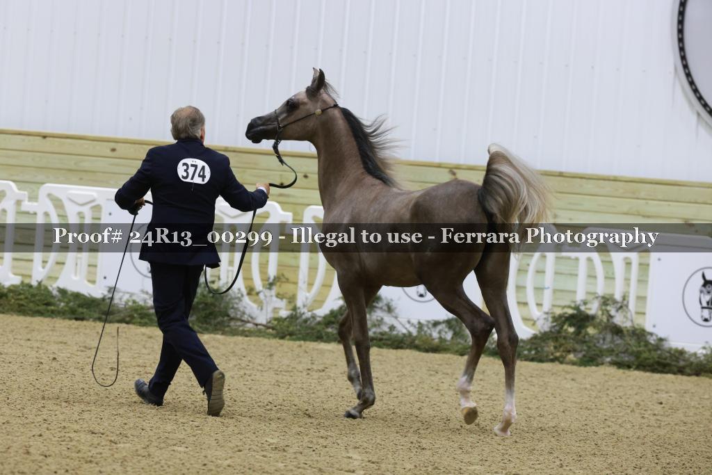 Proof 24R13_00299