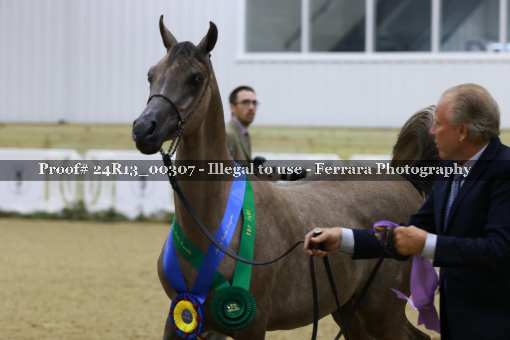 Proof 24R13_00307