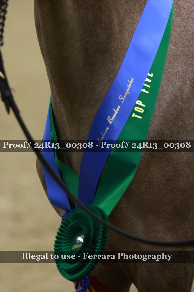 Proof 24R13_00308