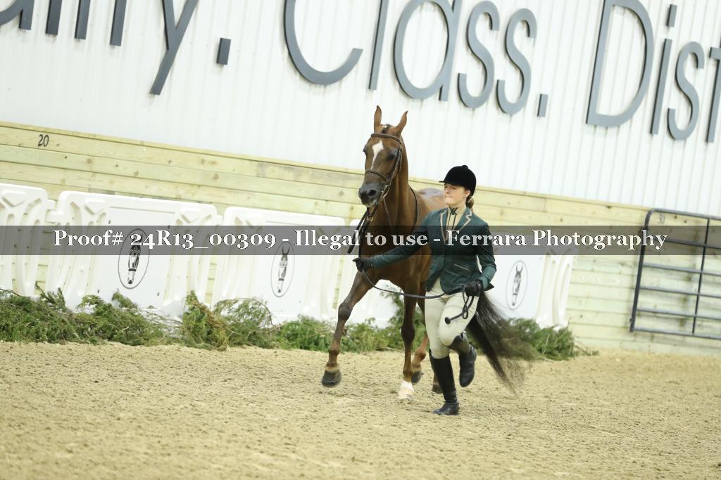 Proof 24R13_00309