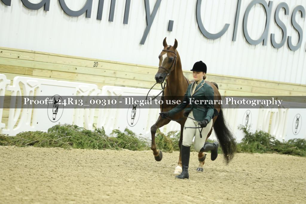 Proof 24R13_00310