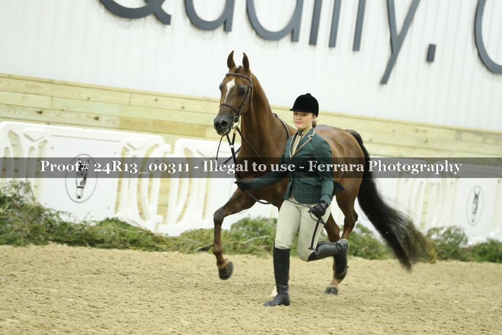 Proof 24R13_00311