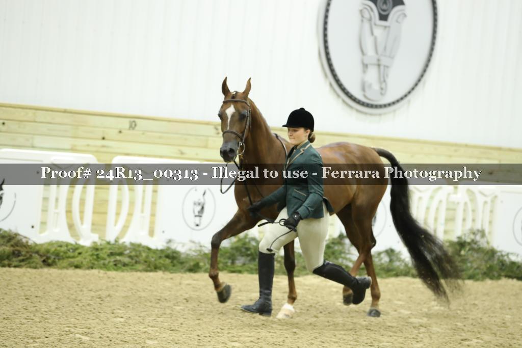 Proof 24R13_00313
