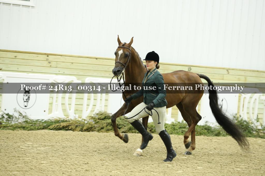 Proof 24R13_00314