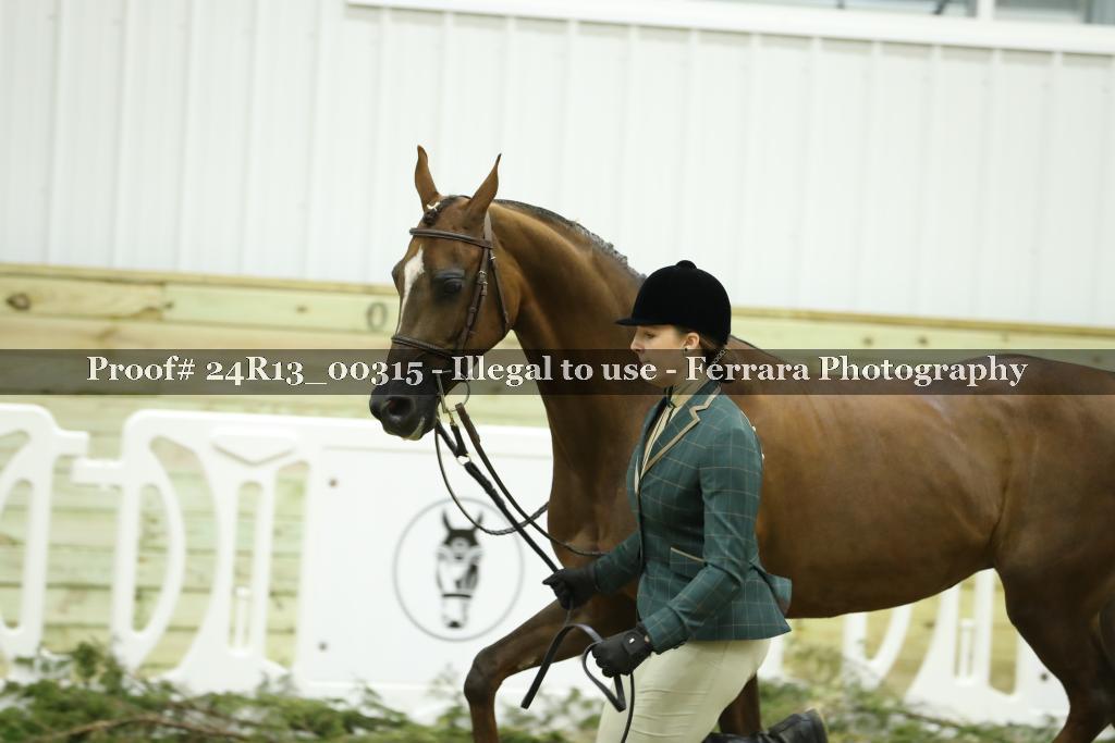Proof 24R13_00315
