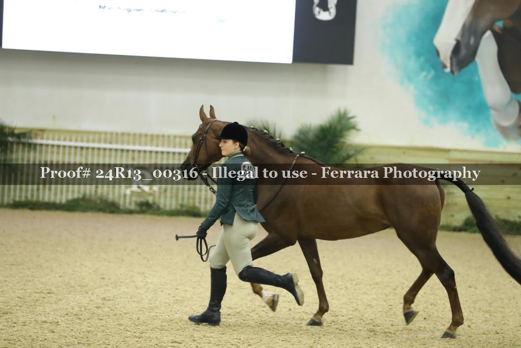 Proof 24R13_00316