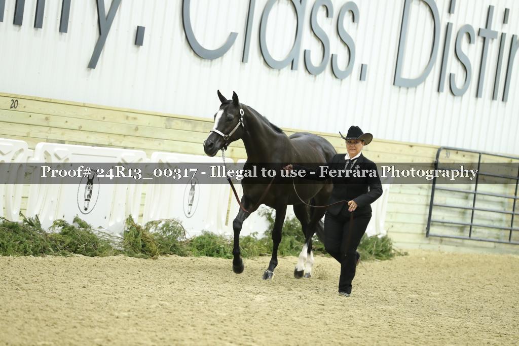 Proof 24R13_00317