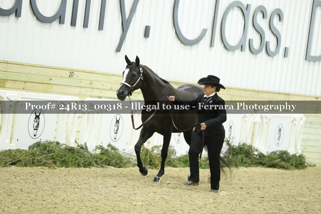 Proof 24R13_00318