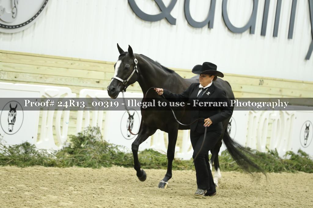 Proof 24R13_00319