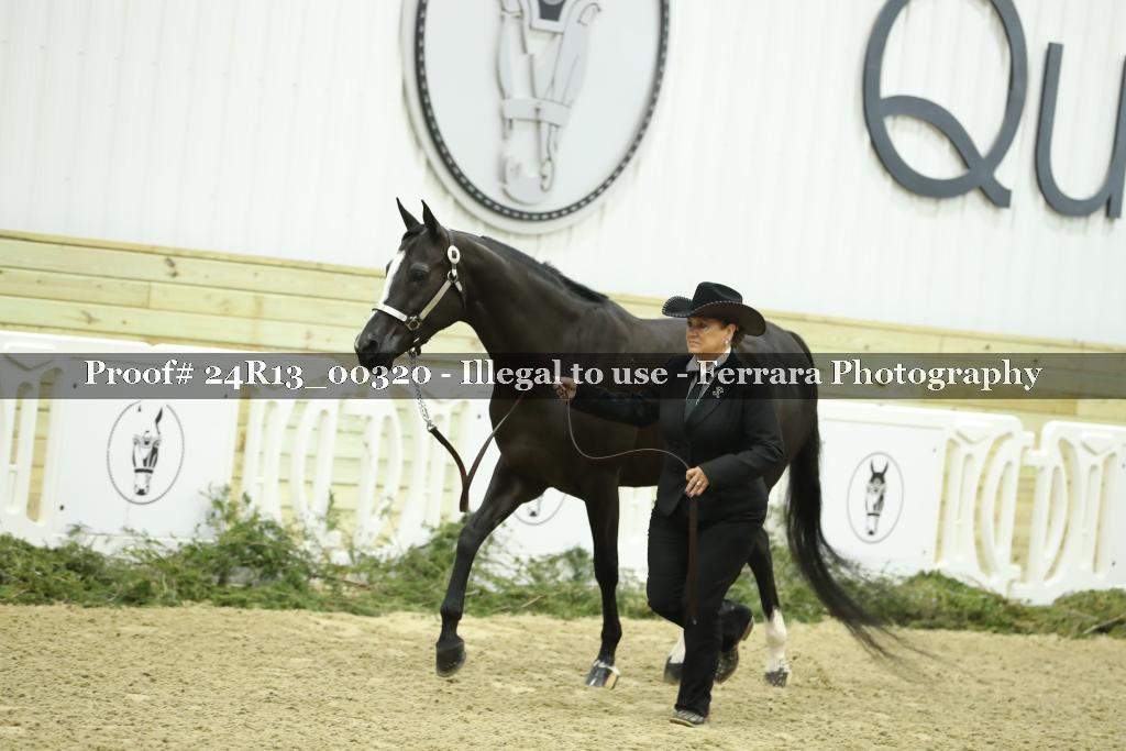 Proof 24R13_00320