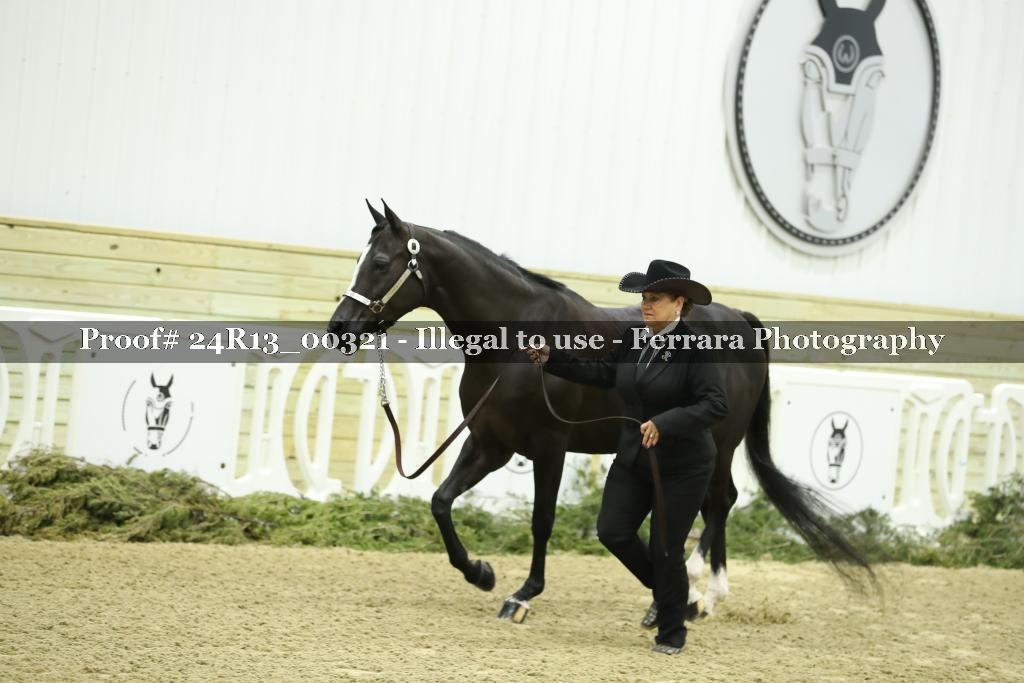 Proof 24R13_00321