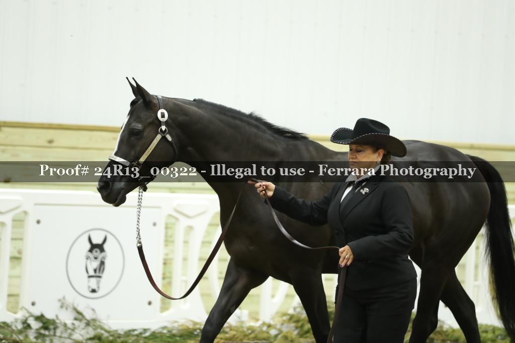 Proof 24R13_00322