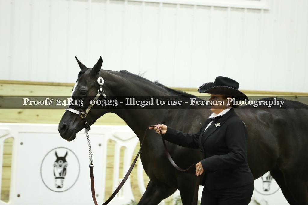 Proof 24R13_00323