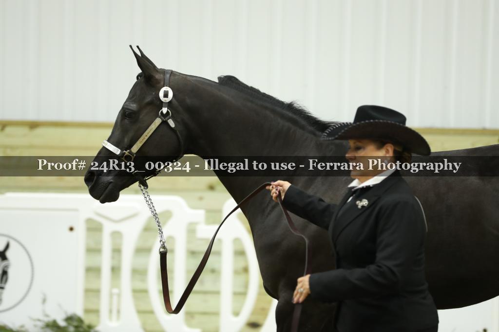 Proof 24R13_00324