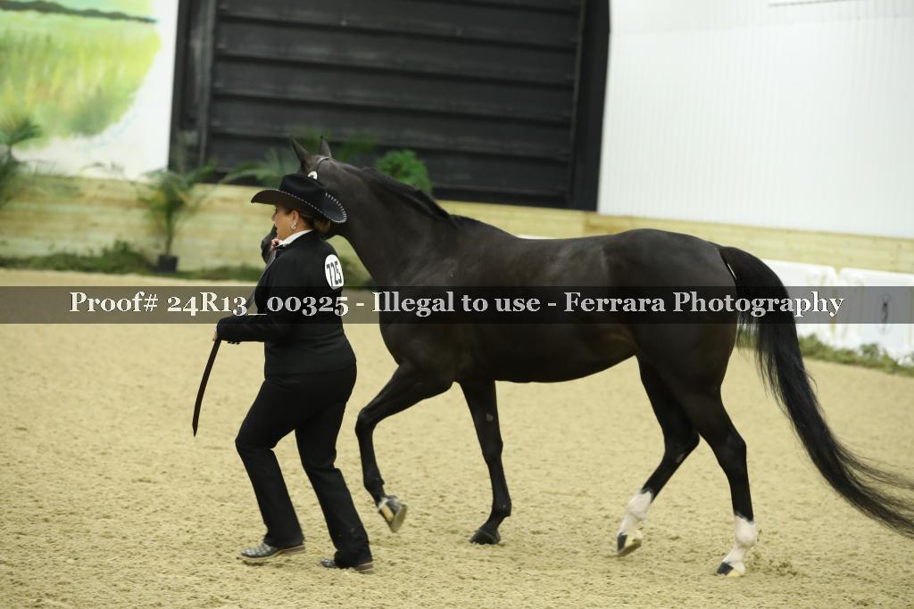 Proof 24R13_00325