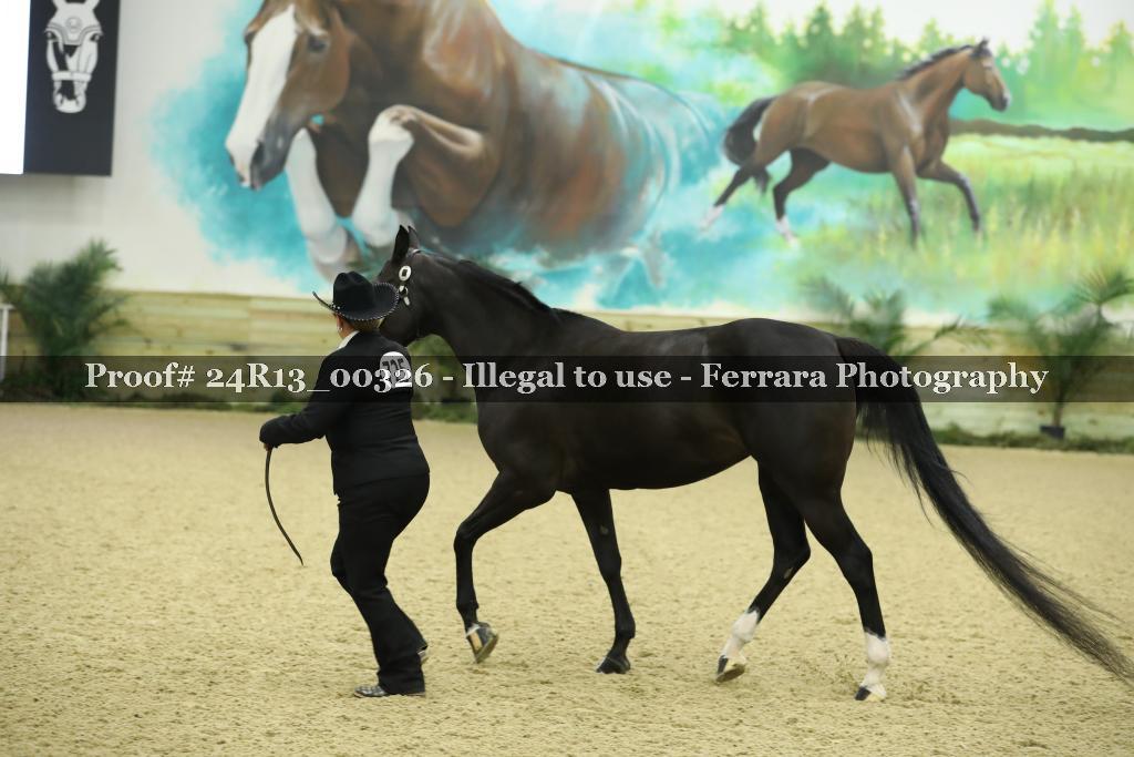 Proof 24R13_00326