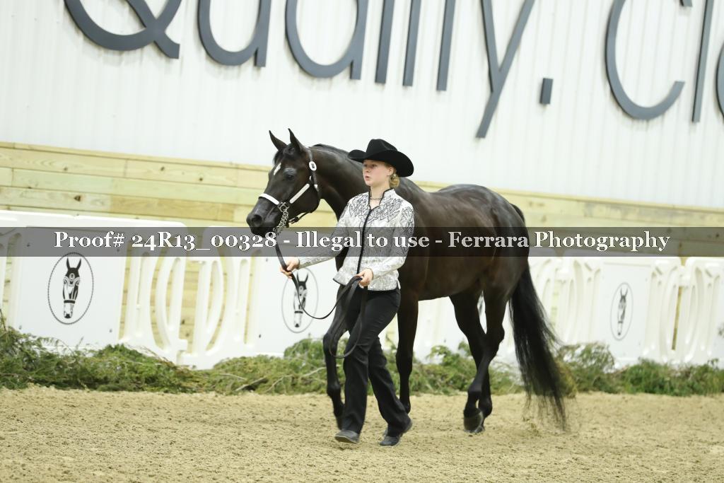 Proof 24R13_00328