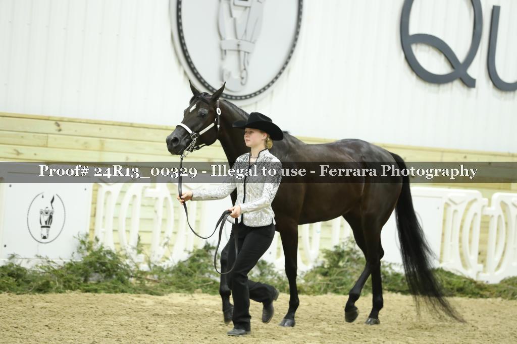 Proof 24R13_00329