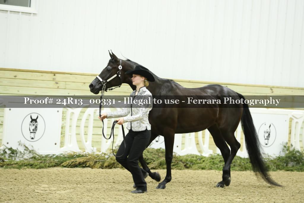 Proof 24R13_00331