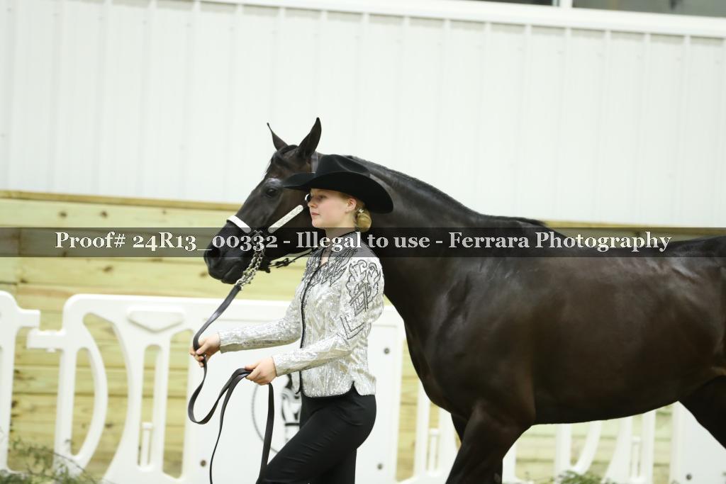 Proof 24R13_00332