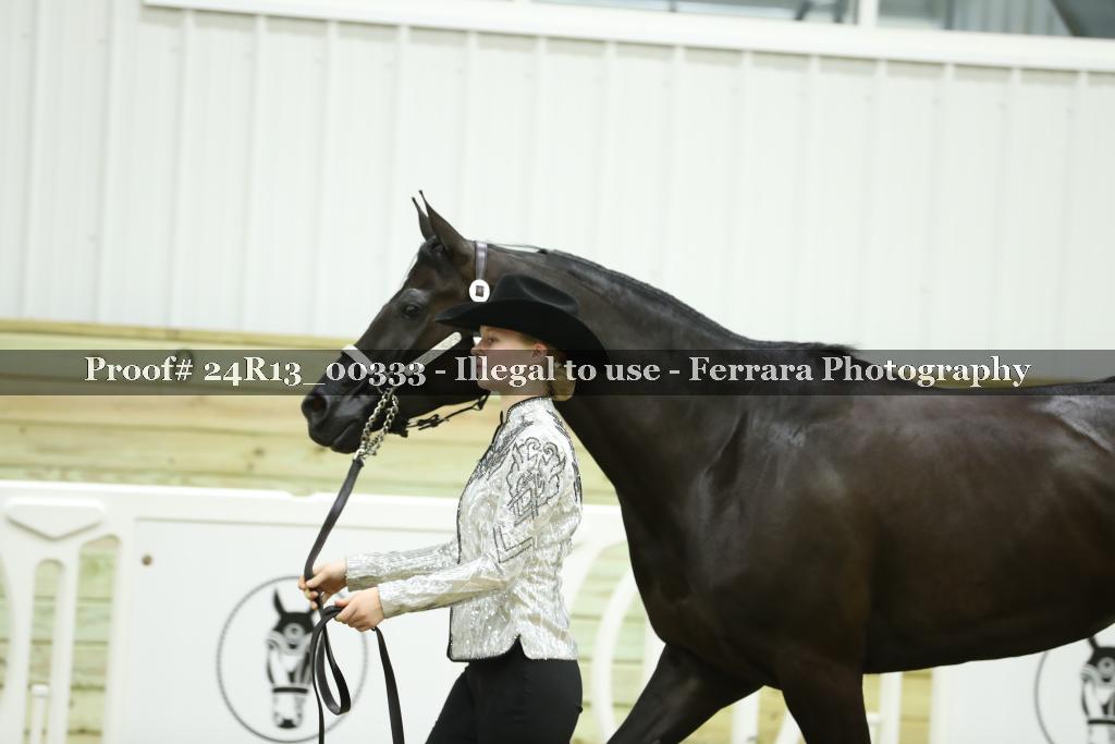 Proof 24R13_00333