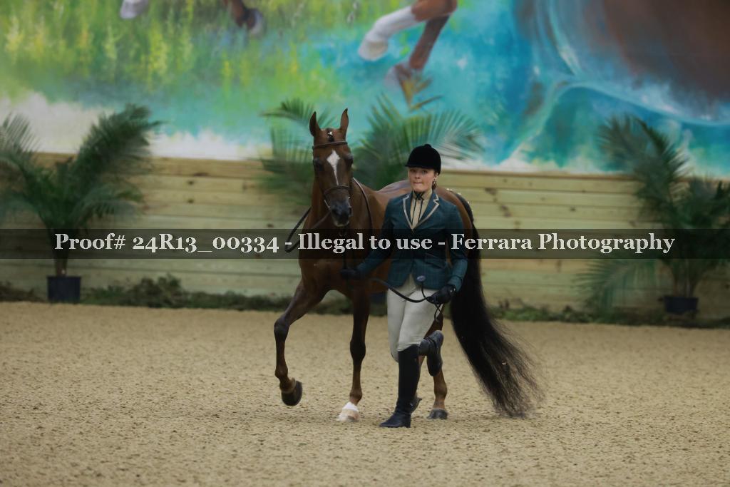Proof 24R13_00334