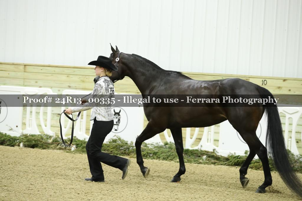 Proof 24R13_00335