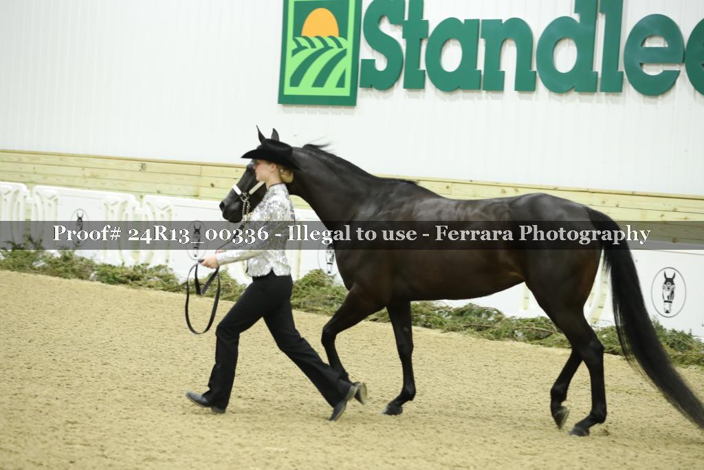 Proof 24R13_00336