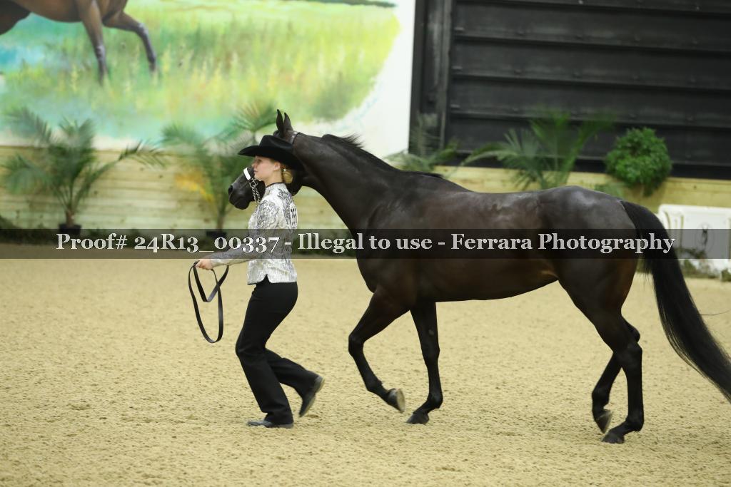 Proof 24R13_00337