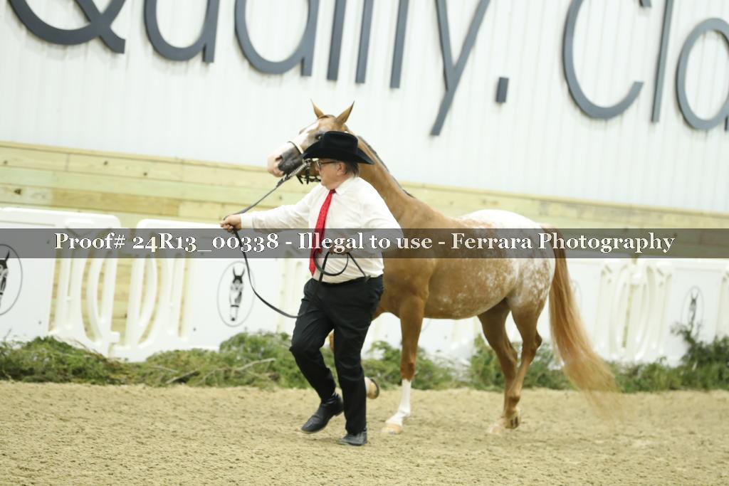 Proof 24R13_00338