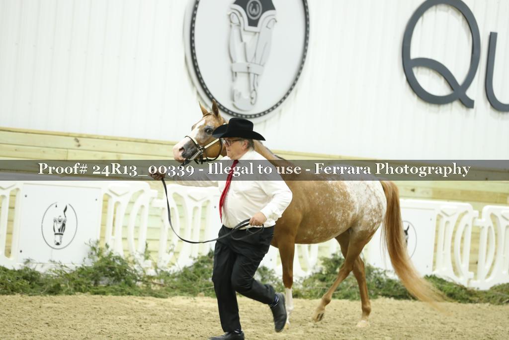 Proof 24R13_00339