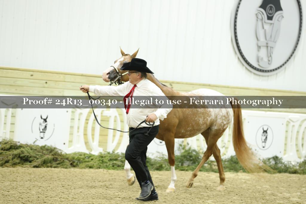 Proof 24R13_00340