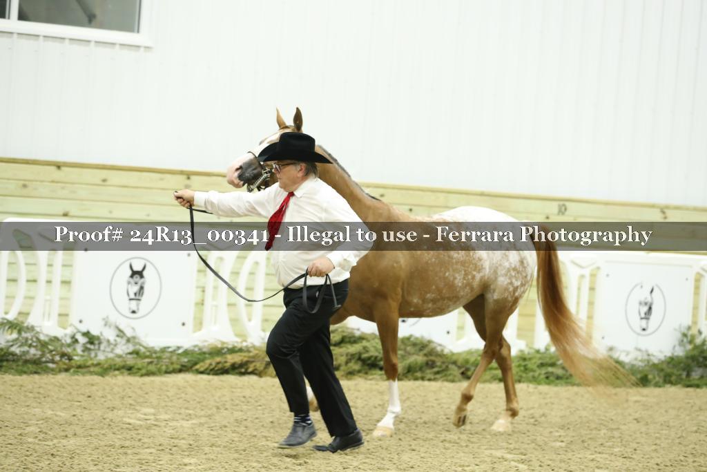 Proof 24R13_00341