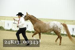 24R13_00343 proof
