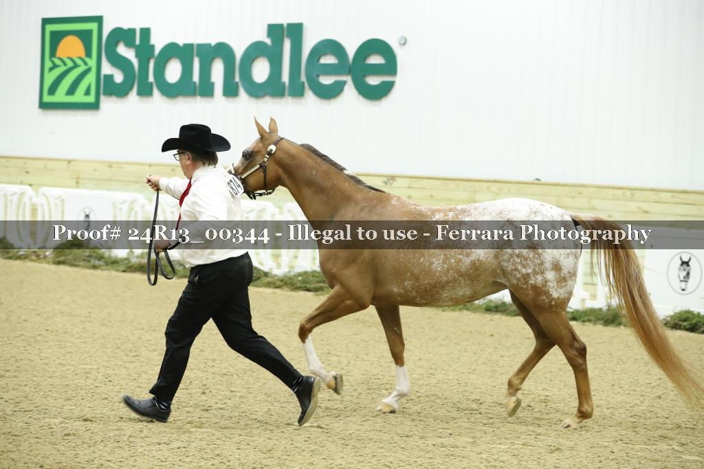 Proof 24R13_00344
