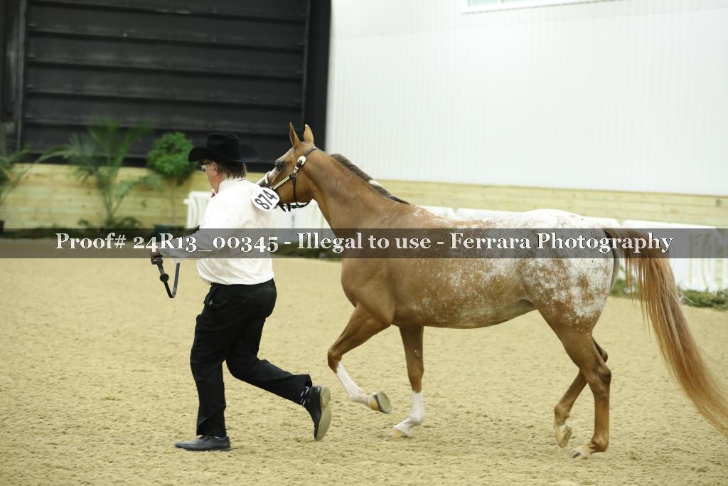 Proof 24R13_00345
