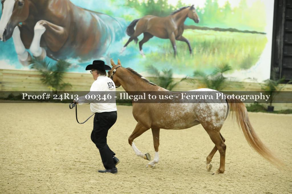 Proof 24R13_00346