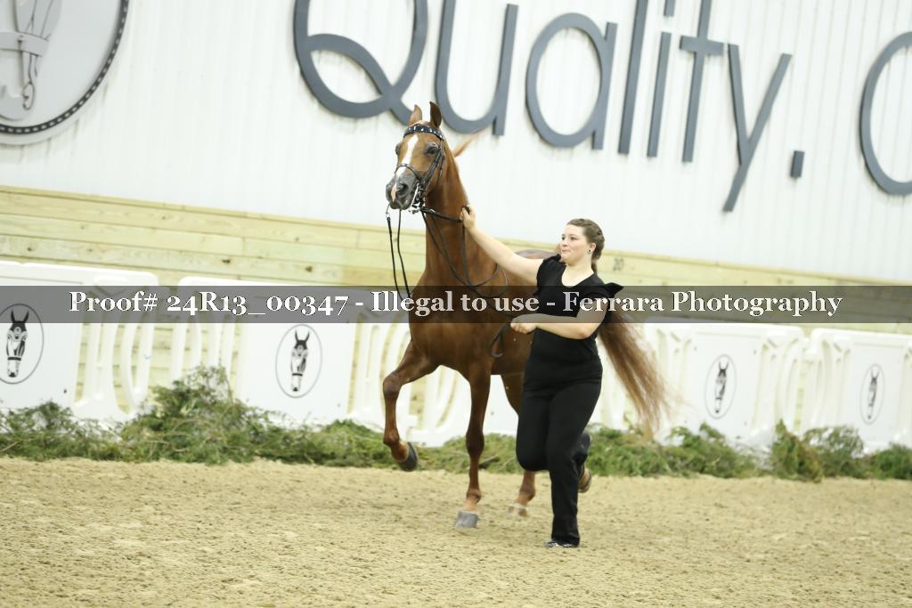 Proof 24R13_00347