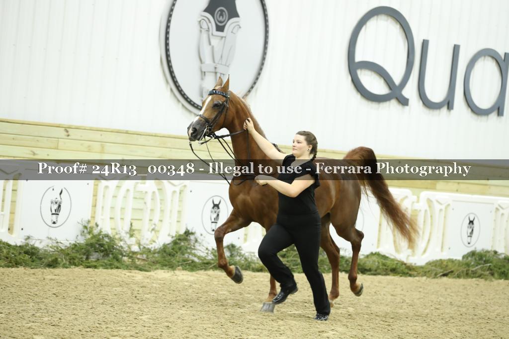 Proof 24R13_00348