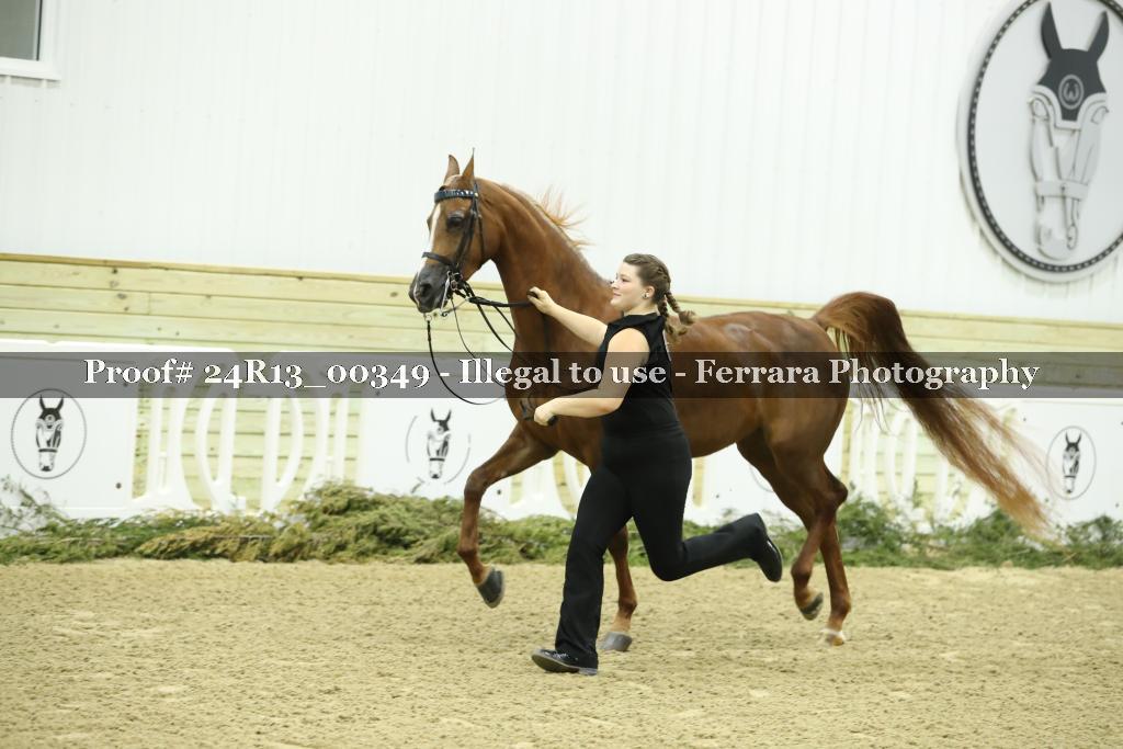 Proof 24R13_00349