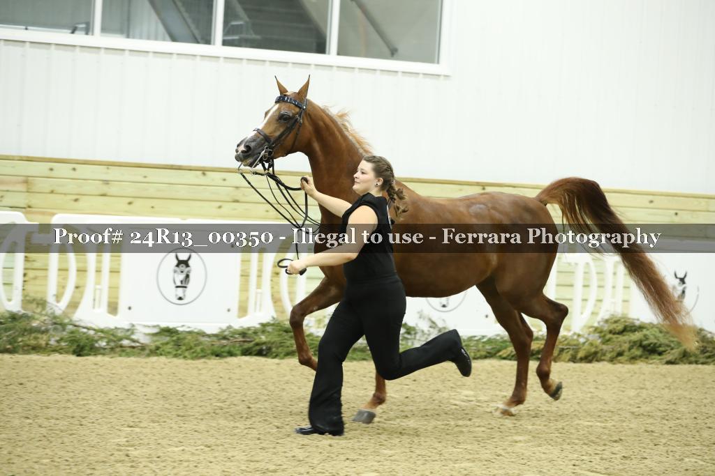 Proof 24R13_00350