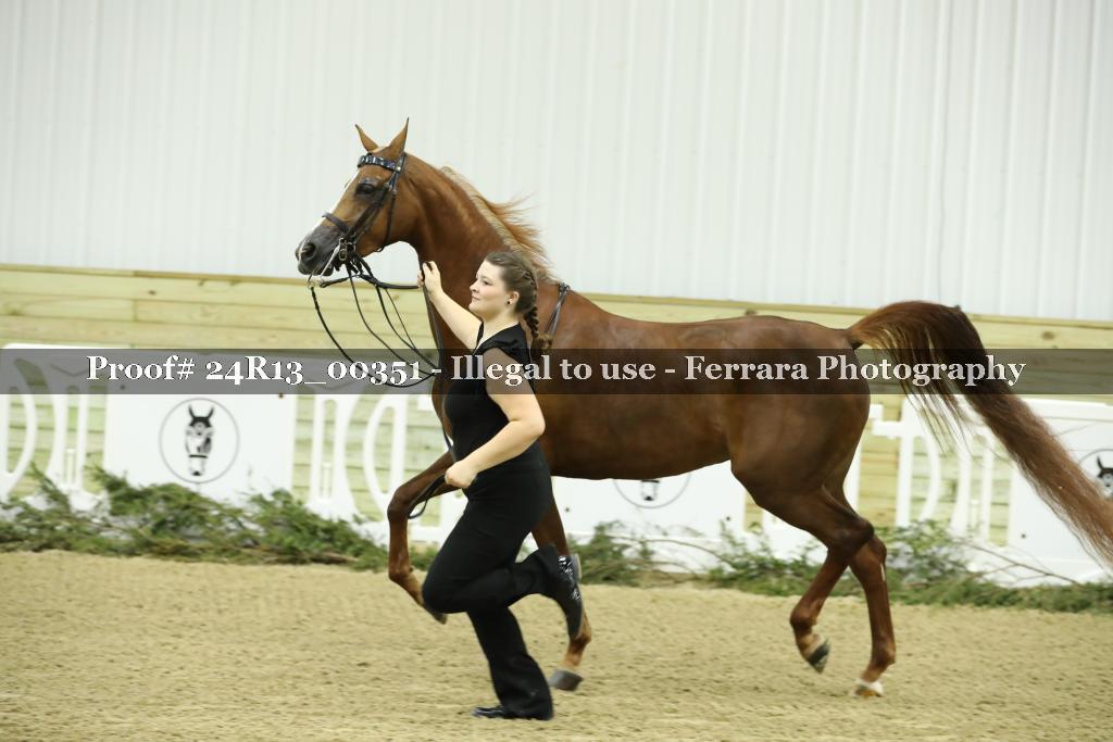 Proof 24R13_00351