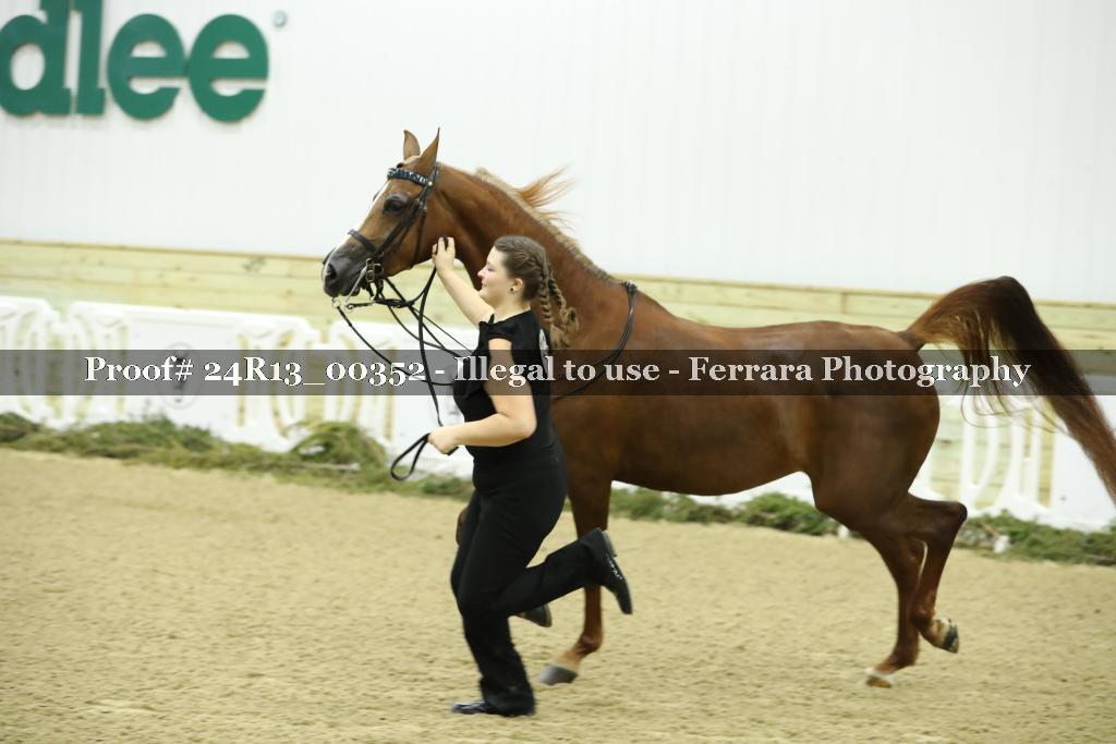 Proof 24R13_00352