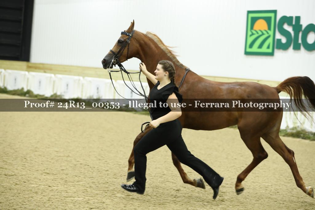 Proof 24R13_00353