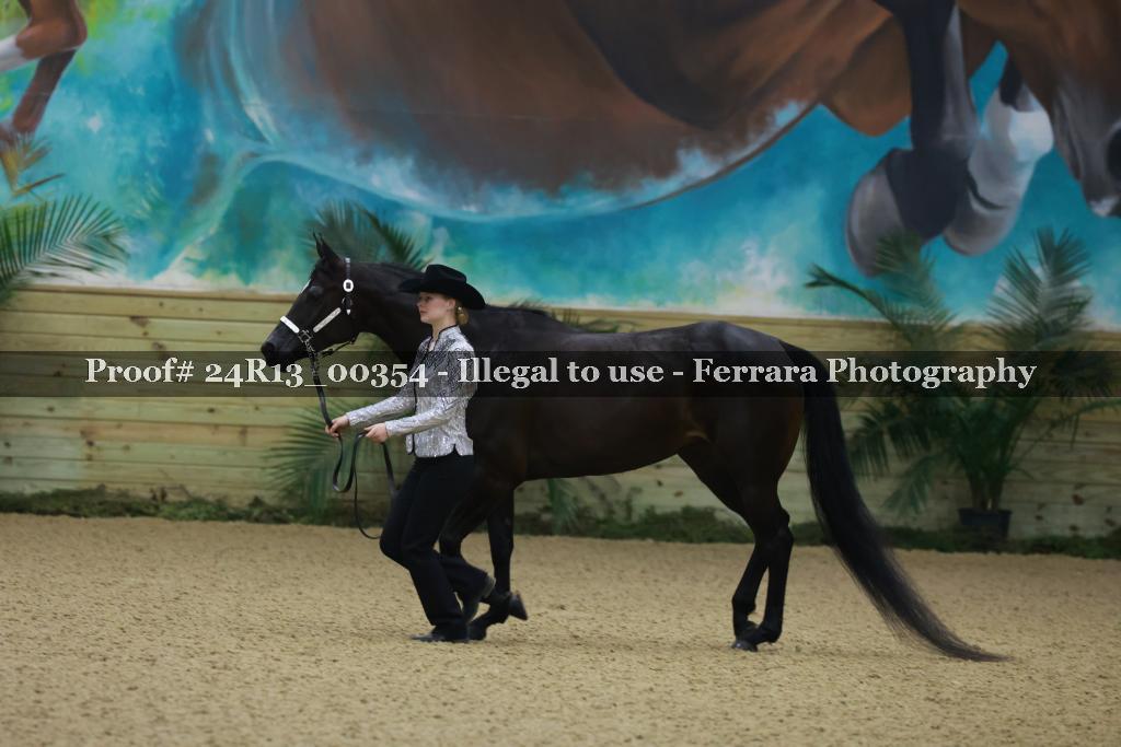 Proof 24R13_00354