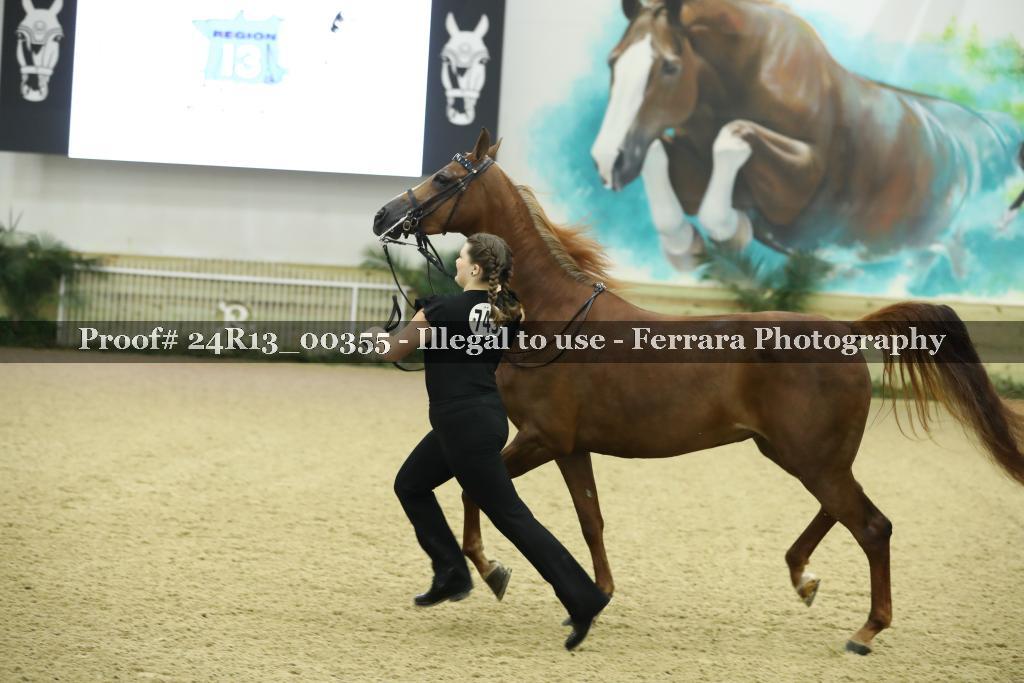 Proof 24R13_00355