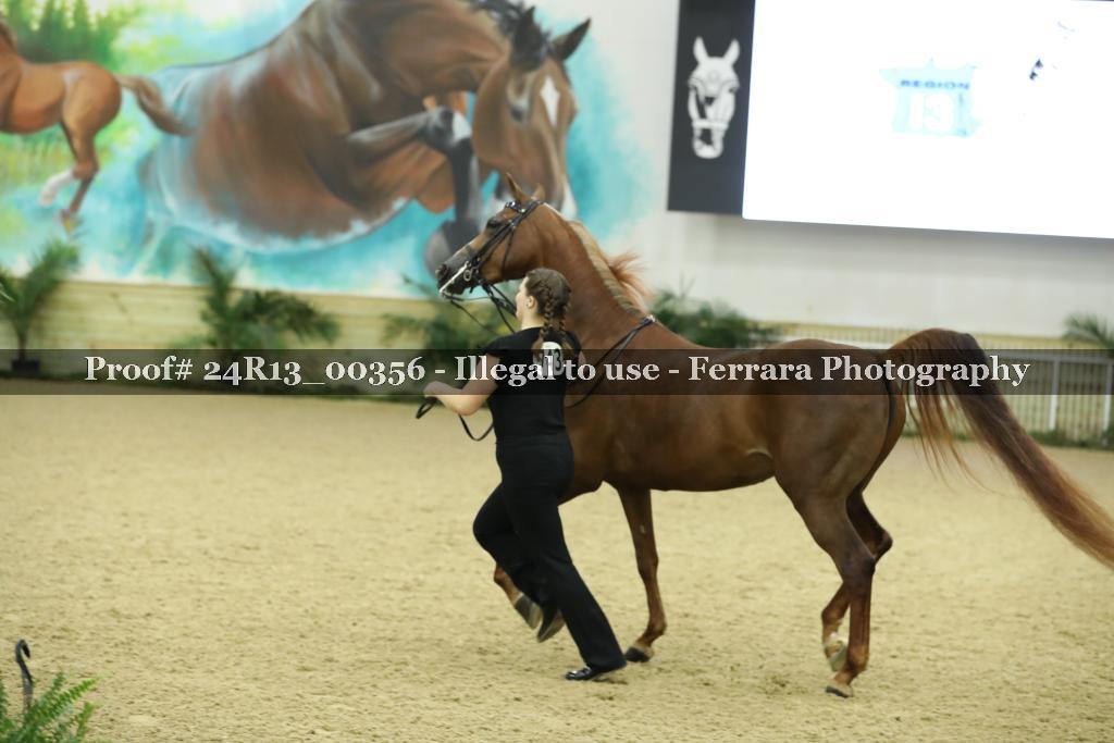Proof 24R13_00356