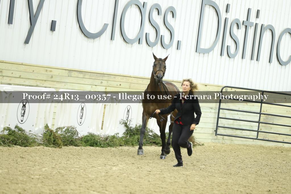 Proof 24R13_00357